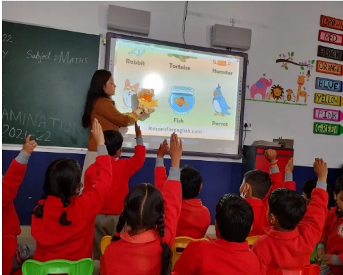 Professional Teacher